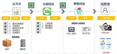 从舌尖到云端 数字赋能下的冷链食品追溯与远程健康管理新格局